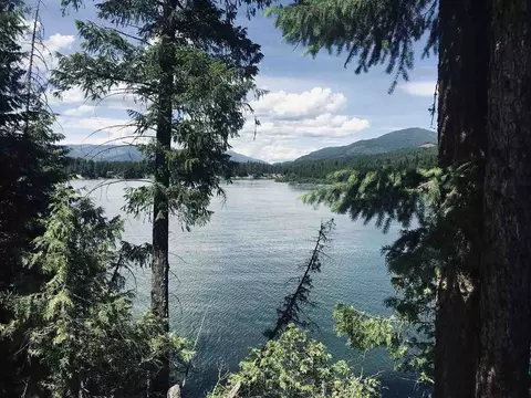 201 Barber Rd, Cusick, WA 99119 photo 7