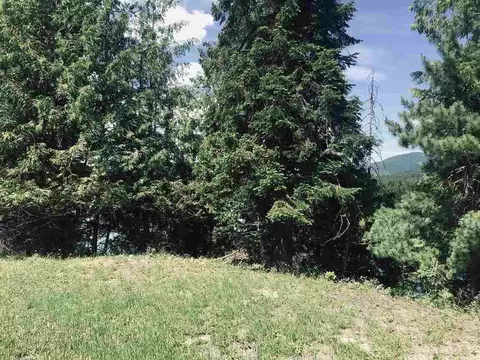 201 Barber Rd, Cusick, WA 99119 photo 13