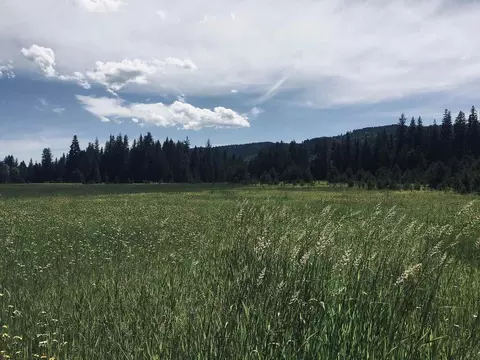 201 Barber Rd, Cusick, WA 99119 photo 12