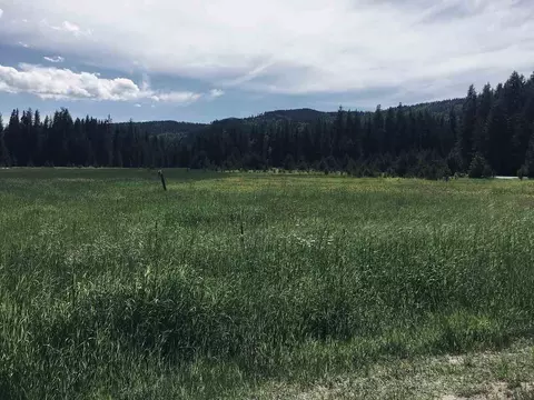 201 Barber Rd, Cusick, WA 99119 photo 9