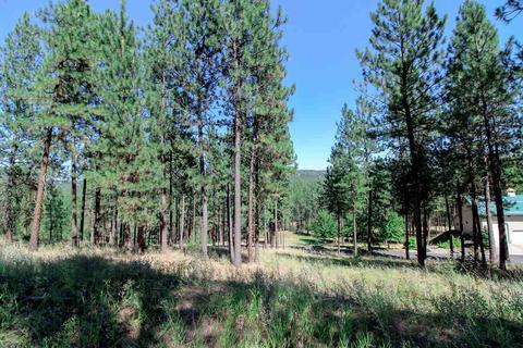 320 E White Rd, Spokane, WA 99224 photo 22