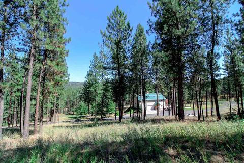 320 E White Rd, Spokane, WA 99224 photo 23