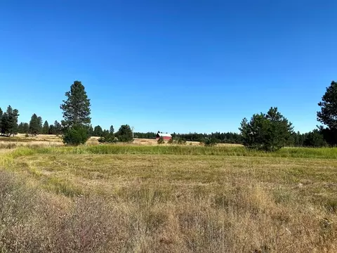 2217 E Red Barn Ln, Spangle, WA 99031 photo 12