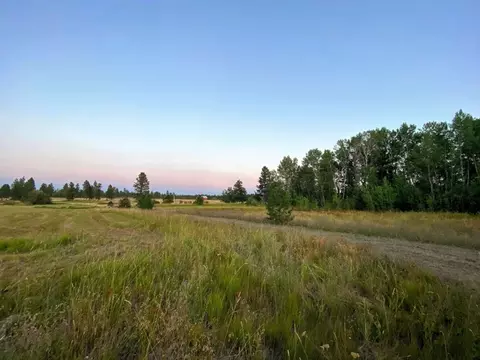 2217 E Red Barn Ln, Spangle, WA 99031 photo 9