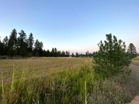 2217 E Red Barn Ln, Spangle, WA 99031 photo 5