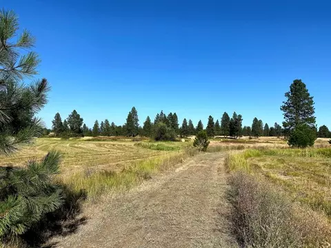 2217 E Red Barn Ln, Spangle, WA 99031 photo 3