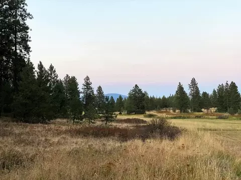 2217 E Red Barn Ln, Spangle, WA 99031 photo 4