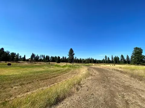 2217 E Red Barn Ln, Spangle, WA 99031 photo 2