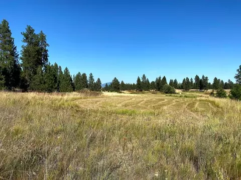2217 E Red Barn Ln, Spangle, WA 99031 photo 7