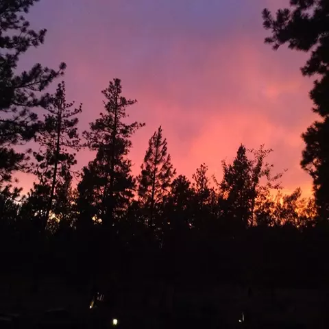 2217 E Red Barn Ln, Spangle, WA 99031 photo 14