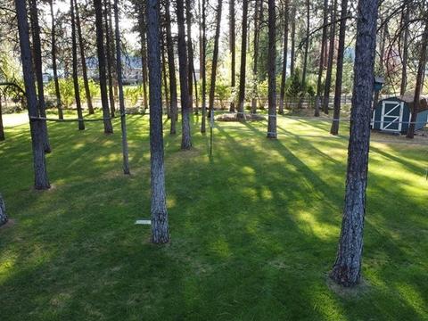 17821 N Ranchette Rd, Colbert, WA 99005 photo 36