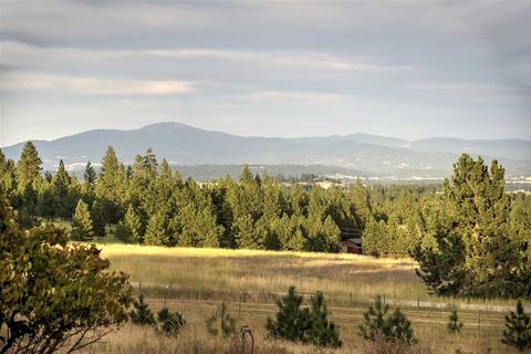 3524 W Woolard Rd, Colbert, WA 99005 photo 35