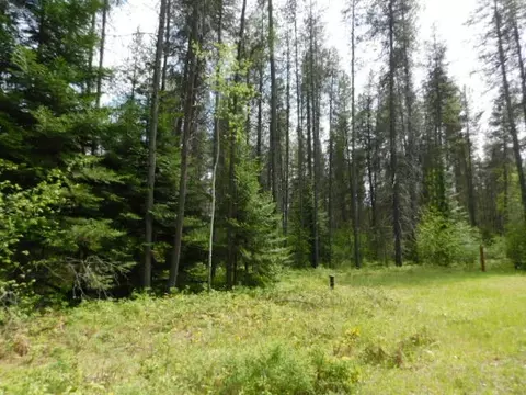 462 E Joyner Dr, Cusick, WA 99119 photo 11