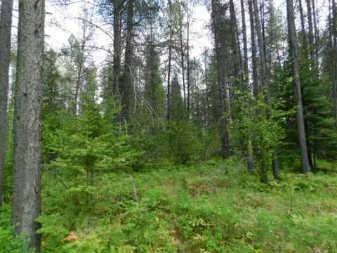 462 E Joyner Dr, Cusick, WA 99119 photo 14