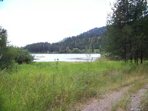 71 Otter Ln, Cusick, WA 99119 photo 20