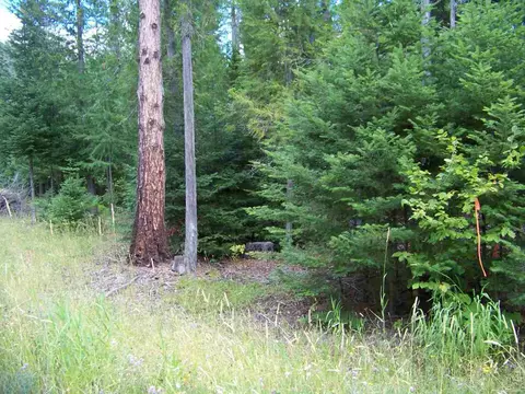 71 Otter Ln, Cusick, WA 99119 photo 18