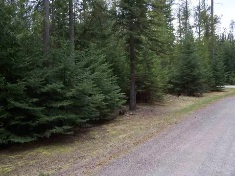 71 Otter Ln, Cusick, WA 99119 photo 5