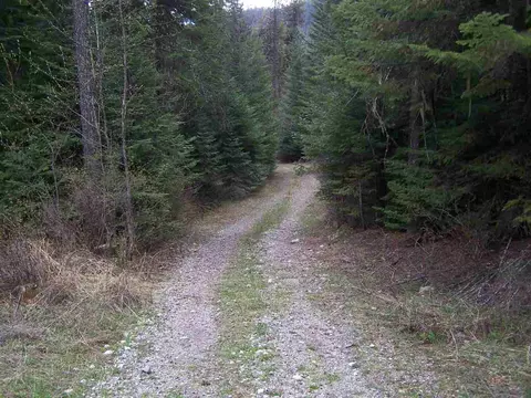 71 Otter Ln, Cusick, WA 99119 photo 19