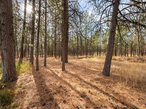 21021 N Myrtle Rd, Colbert, WA 99005 photo 32