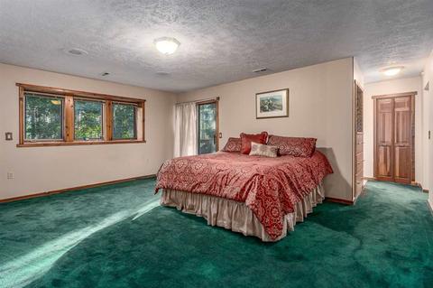 4606 E Silver Pine Rd, Colbert, WA 99005 photo 10