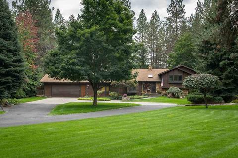 4606 E Silver Pine Rd, Colbert, WA 99005 photo 2