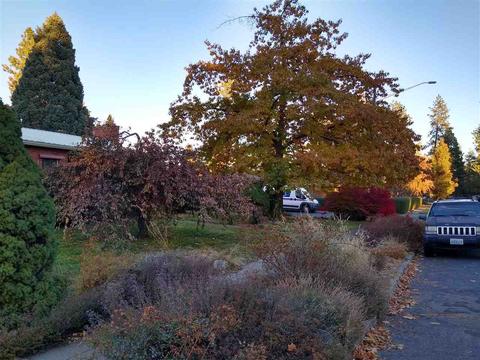 1127 E 28th Ave, Spokane, WA 99203 photo 14