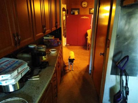 1127 E 28th Ave, Spokane, WA 99203 photo 11
