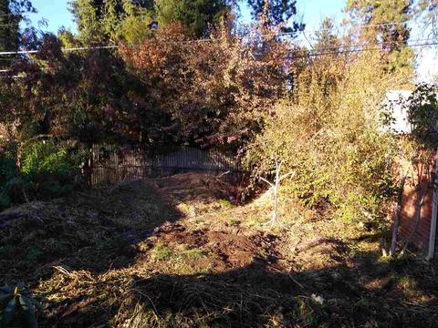 1127 E 28th Ave, Spokane, WA 99203 photo 13