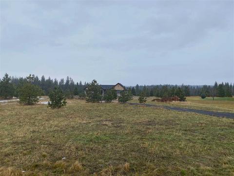 425 E Chattaroy Rd, Colbert, WA 99005 photo 43