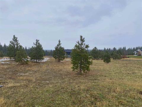 425 E Chattaroy Rd, Colbert, WA 99005 photo 42