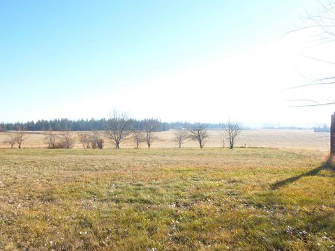 108 E Paradise Rd, Spangle, WA 99031 photo 19