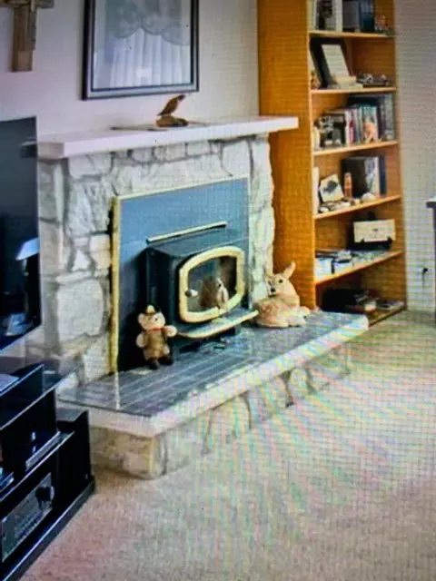 19515 N Hatch Rd, Colbert, WA 99005 photo 24