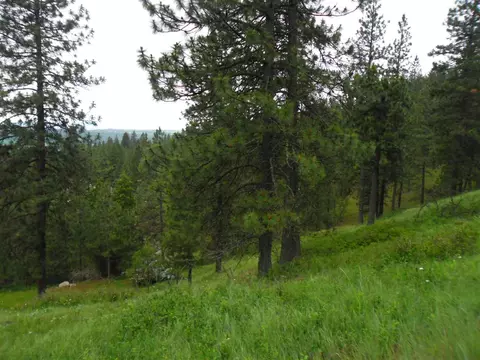 16005 E Scribner Branch Ln, Spokane, WA 99217 photo 10