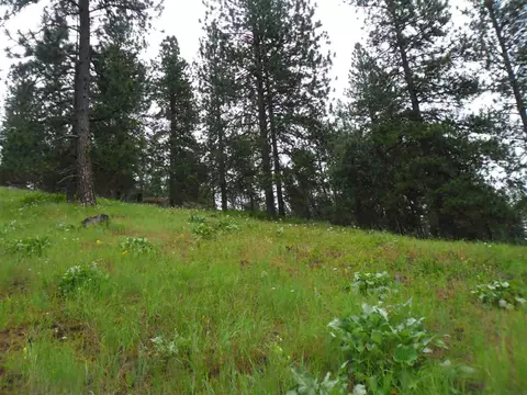 16005 E Scribner Branch Ln, Spokane, WA 99217 photo 8