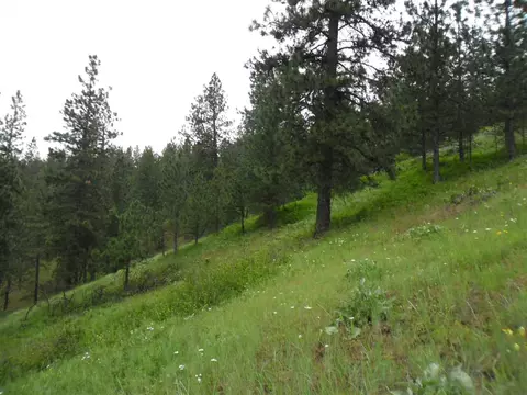 16005 E Scribner Branch Ln, Spokane, WA 99217 photo 9