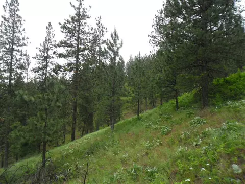 16005 E Scribner Branch Ln, Spokane, WA 99217 photo 11