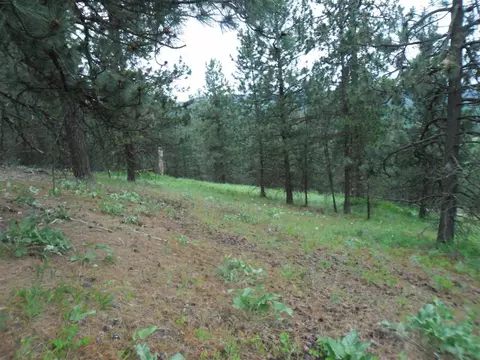 16005 E Scribner Branch Ln, Spokane, WA 99217 photo 12