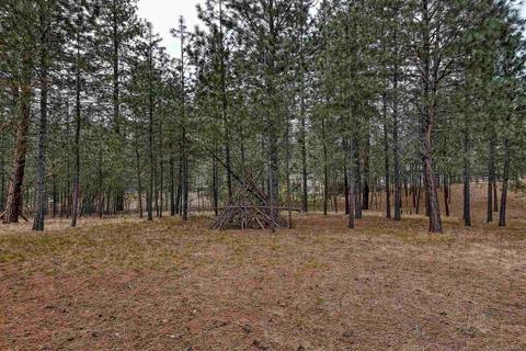 4411 E Day Mount Spokane Rd, Colbert, WA 99005 photo 39