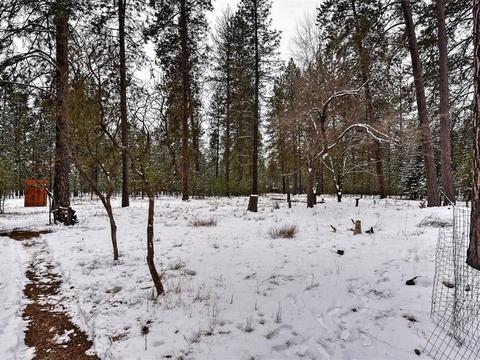 3402 E Pineland Rd, Colbert, WA 99005 photo 37