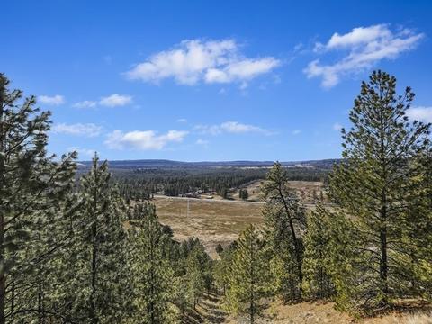 9907 N Comanche Dr, Spokane, WA 99208 photo 2