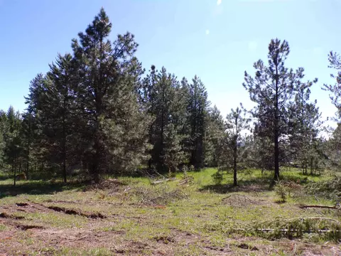 19995 Westside Calispel Rd, Cusick, WA 99119 photo 3