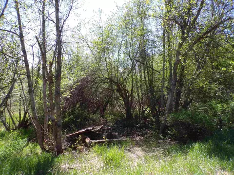 19995 Westside Calispel Rd, Cusick, WA 99119 photo 9