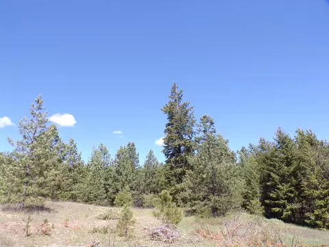 19995 Westside Calispel Rd, Cusick, WA 99119 photo 10