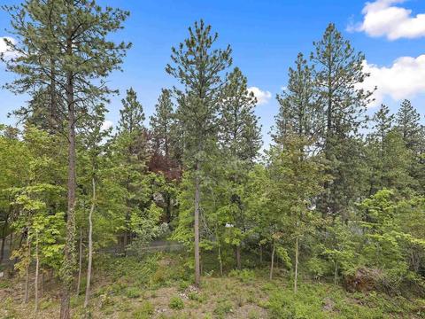825 E Crest Rd, Spokane, WA 99203 photo 9