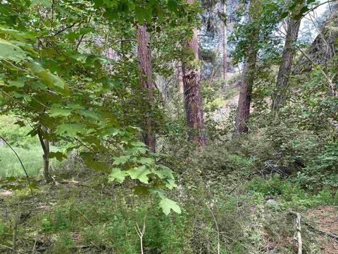 3216 E 9th Ave, Spokane, WA 99202 photo 1