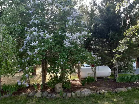 18710 S Nevada Rd, Spangle, WA 99031 photo 30
