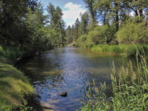 1019 E Brooklawn Dr, Spokane, WA 99208 photo 33