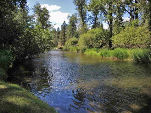1019 E Brooklawn Dr, Spokane, WA 99208 photo 2