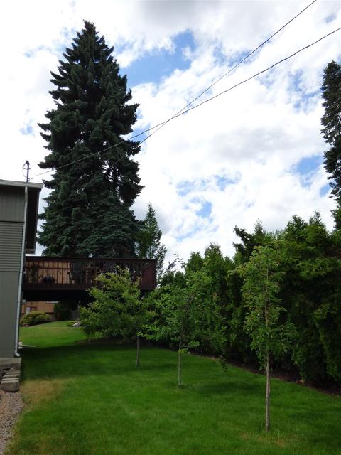 3313 E 26th Ave, Spokane, WA 99223 photo 29