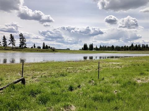 812 E Smythe Rd, Spangle, WA 99031 photo 1